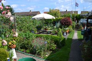 Garden- click for photo gallery